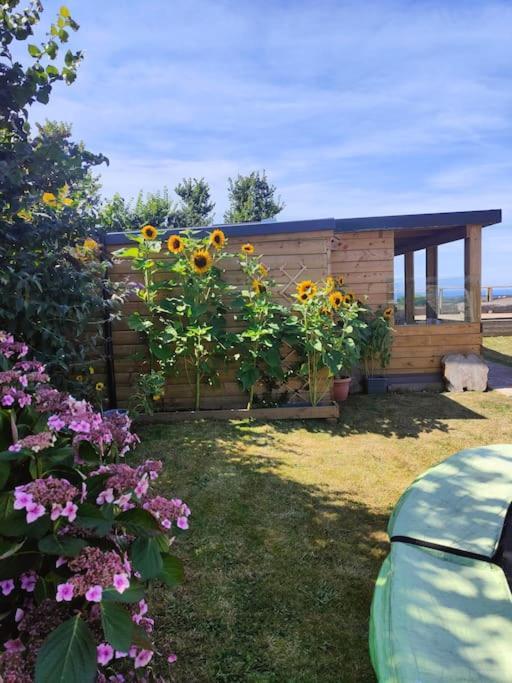 Little Swelle Cabin With Awesome Sea Views Poundstock Exterior photo